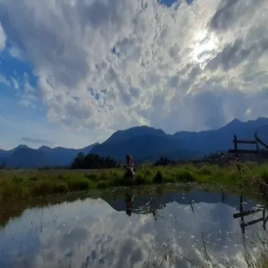 Excelente Sítio à venda em Aguapés, Osório/RS - 16 hectares Excelente Sítio à venda em Aguapés, Osório/RS - 16 hectares