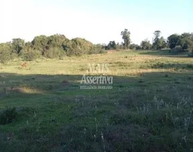 Sítio para Venda em Nova Santa Rita / RS no bairro Itapuí Sítio para Venda em Nova Santa Rita / RS no bairro Itapuí