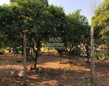 Terreno para Venda em Santo Antônio Da Patrulha / RS Terreno para Venda em Santo Antônio Da Patrulha / RS