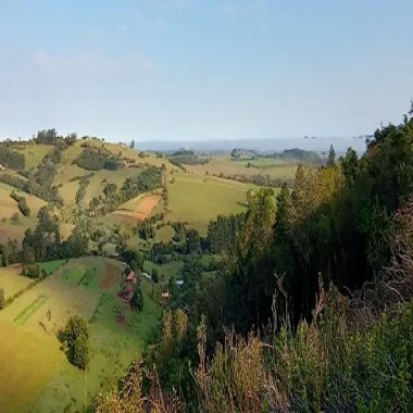 Exclente chacara de 2,3 hectares em Lomba Grande, Novo Hamburgo Exclente chacara de 2,3 hectares em Lomba Grande, Novo Hamburgo