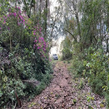 Excelente área de terra para venda em Gramado Excelente área de terra para venda em Gramado