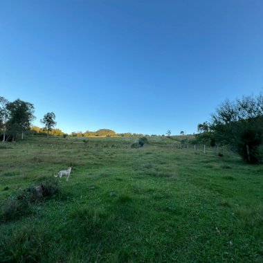 Chácara de 10 hectares para venda em Lomba Grande, Novo Hamburgo Chácara de 10 hectares para venda em Lomba Grande, Novo Hamburgo