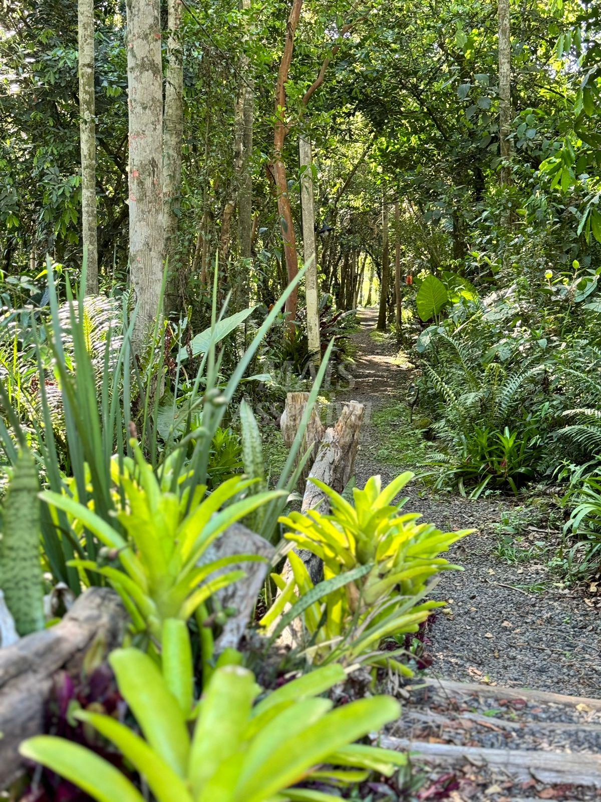 Terreno à venda, 1500m² - Foto 13