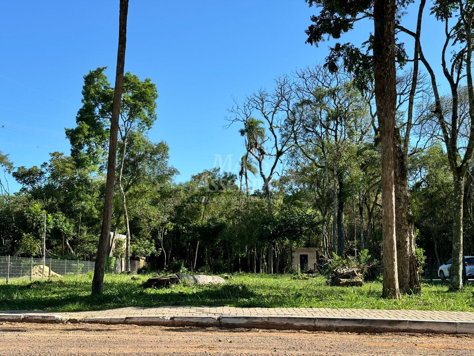 Terreno à venda, 1500m² - Foto 4