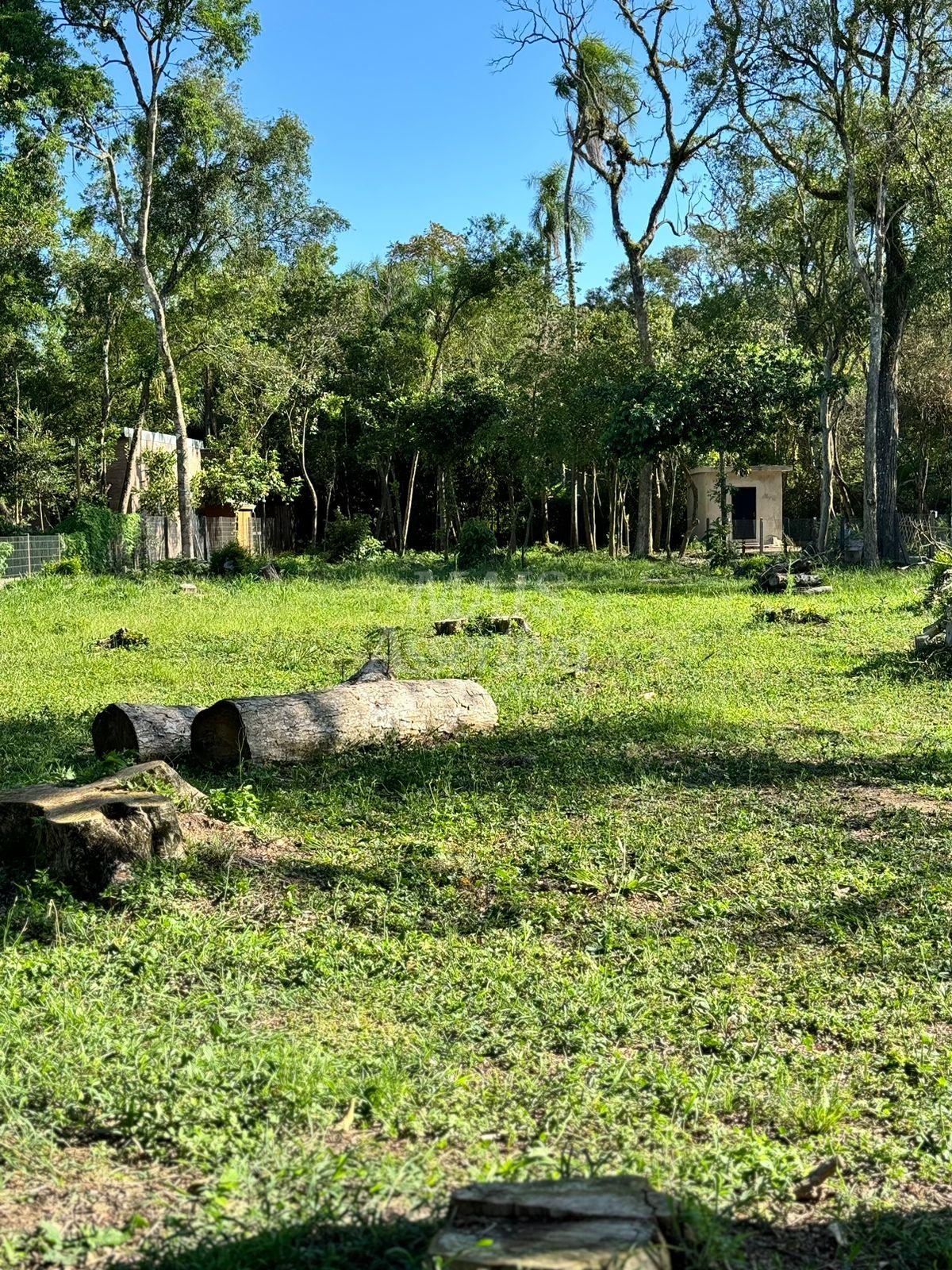 Terreno à venda, 1500m² - Foto 5