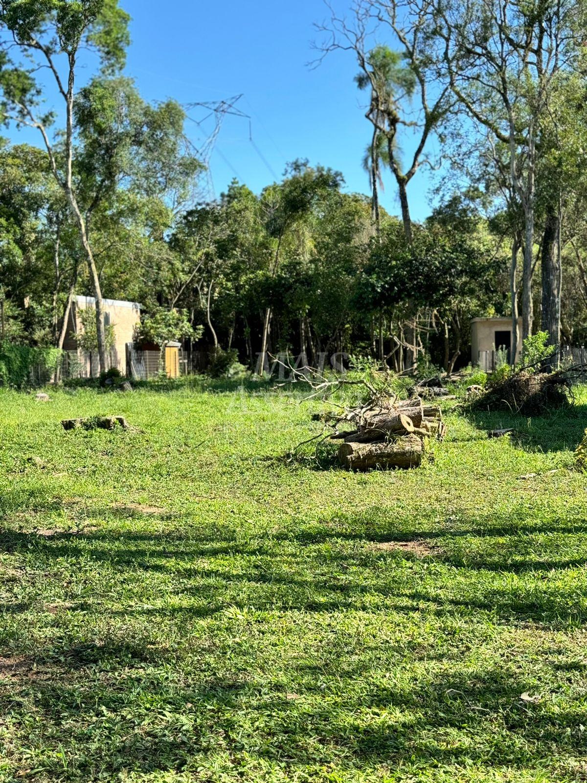 Terreno à venda, 1500m² - Foto 6