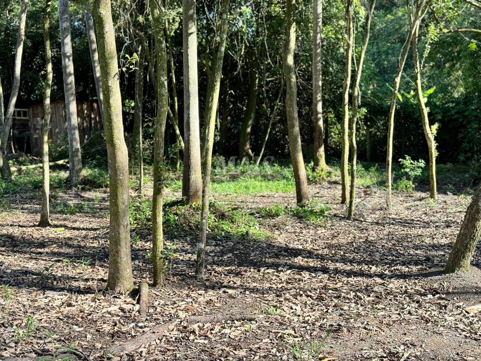 Terreno à venda, 1500m² - Foto 7