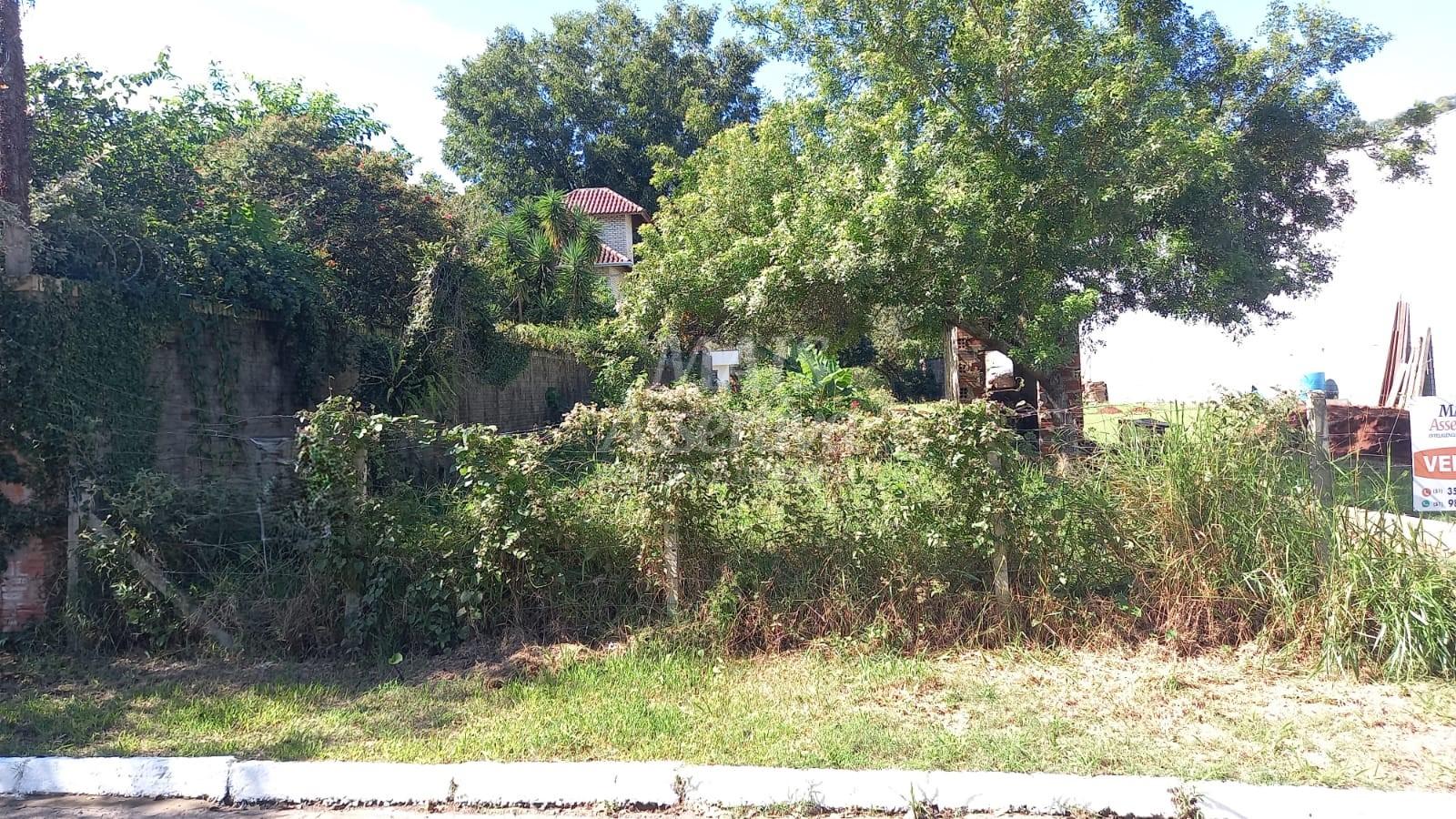 Terreno, 495 m² - Foto 3