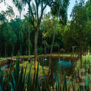 Sítio para venda em Maquiné Prainha Sítio para venda em Maquiné Prainha
