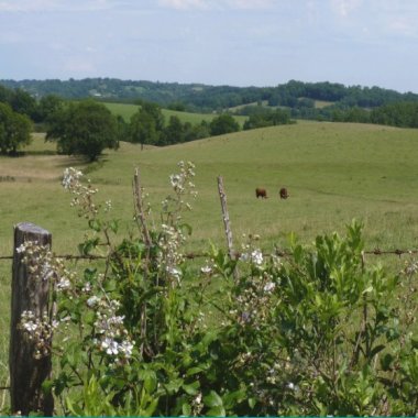 Excelente Fazenda com área de 82,371 hectares em Gravataí Bairro Itacolomi Excelente Fazenda com área de 82,371 hectares em Gravataí Bairro Itacolomi