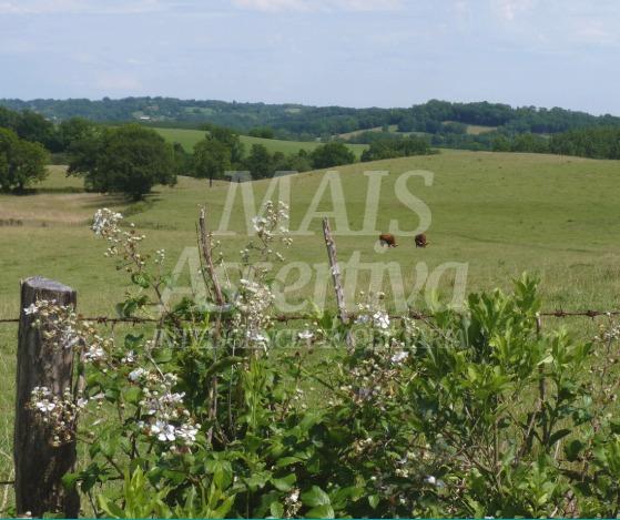 Fazenda à venda, 82371m² - Foto 3