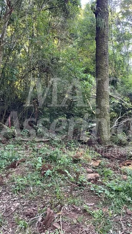 Terreno, 4 m² - Foto 1