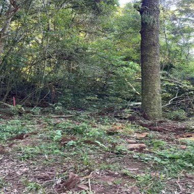 Área para venda em Taquara, Fazenda Fialho - 4.300m² Área para venda em Taquara, Fazenda Fialho - 4.300m²