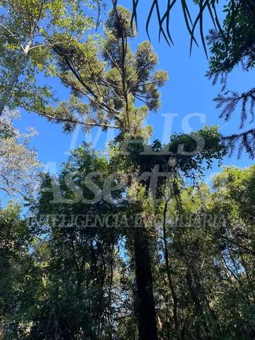 Terreno, 4 m² - Foto 2