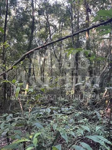 Terreno, 4 m² - Foto 3