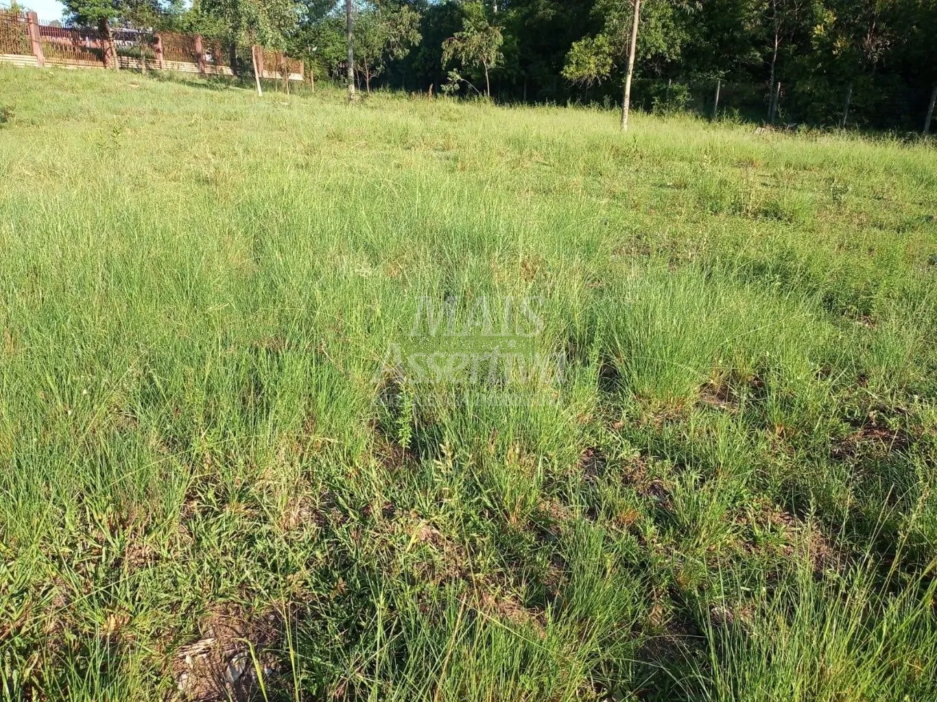 Prédio Inteiro à venda, 3m² - Foto 16
