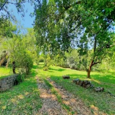 Excelente Sítio à venda em Viamão/RS - 17,9 hectares Excelente Sítio à venda em Viamão/RS - 17,9 hectares