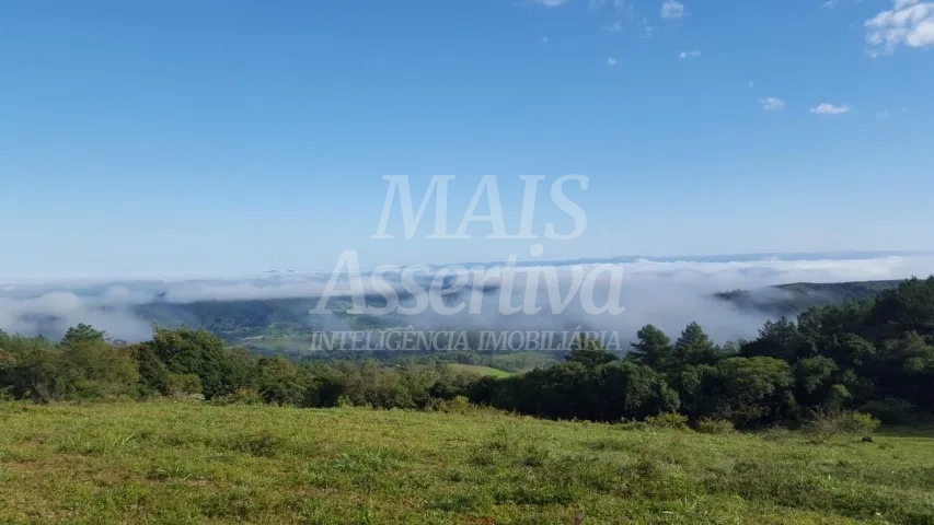 Chácara, 14 hectares - Foto 1