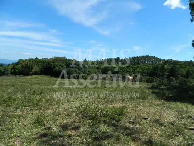 Chácara, 14 hectares - Foto 9