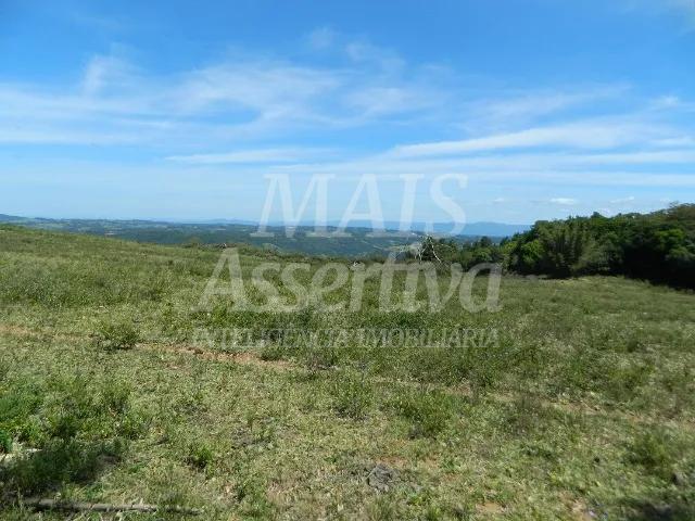 Chácara, 14 hectares - Foto 10