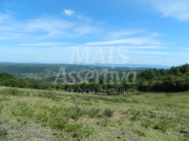 Chácara, 14 hectares - Foto 12