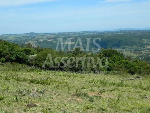 Chácara, 14 hectares - Foto 14