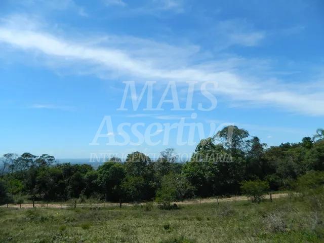 Chácara, 14 hectares - Foto 15