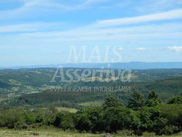 Chácara, 14 hectares - Foto 16