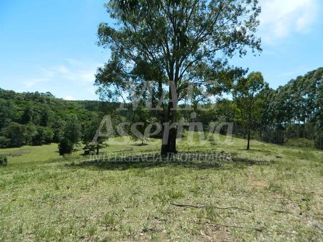 Chácara, 14 hectares - Foto 18