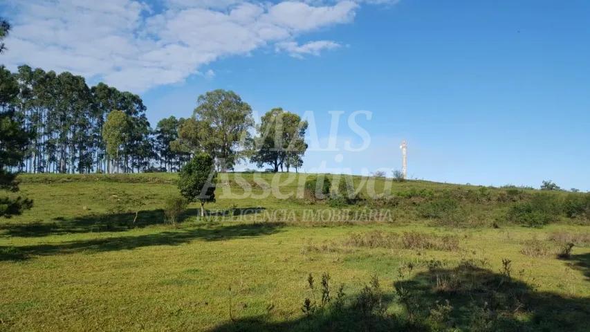 Chácara, 14 hectares - Foto 2