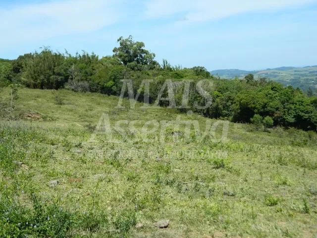 Chácara, 14 hectares - Foto 19