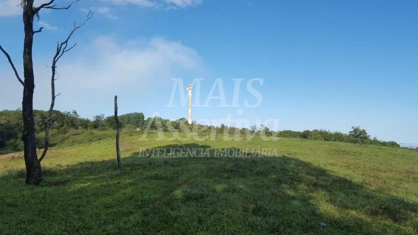 Chácara, 14 hectares - Foto 5