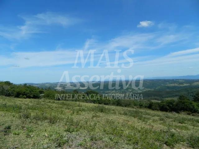 Chácara, 14 hectares - Foto 6