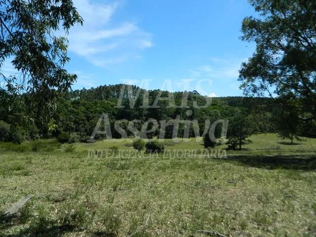 Chácara, 14 hectares - Foto 7