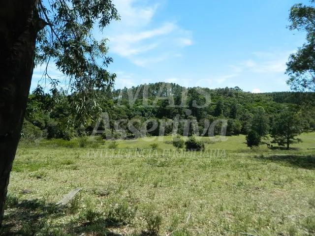 Chácara, 14 hectares - Foto 8