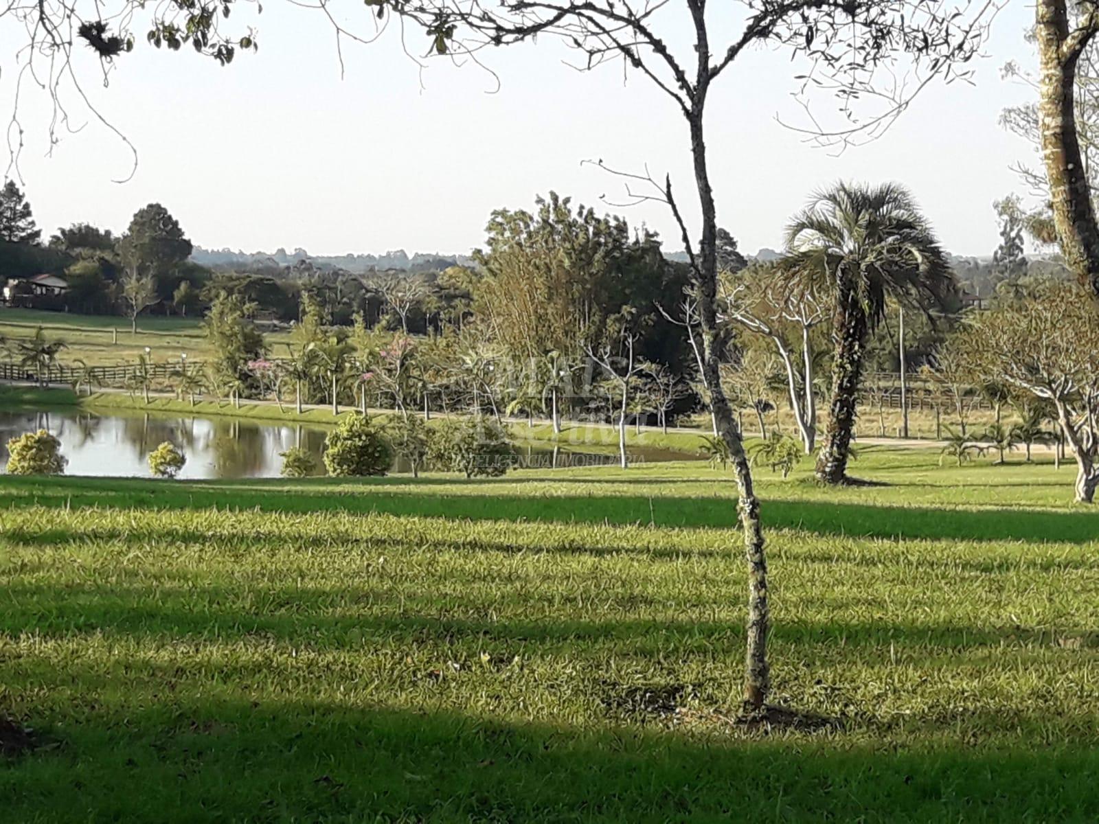 Sítio à venda, 600m² - Foto 4