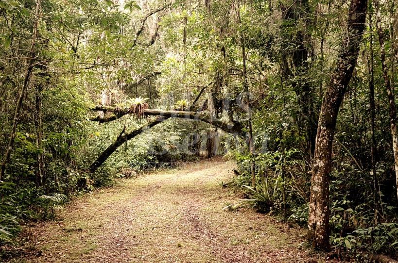 Chácara à venda com 3 quartos, 30000m² - Foto 2