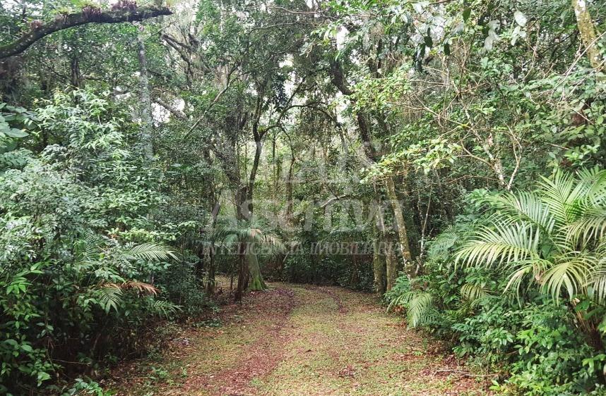 Chácara à venda com 3 quartos, 30000m² - Foto 3