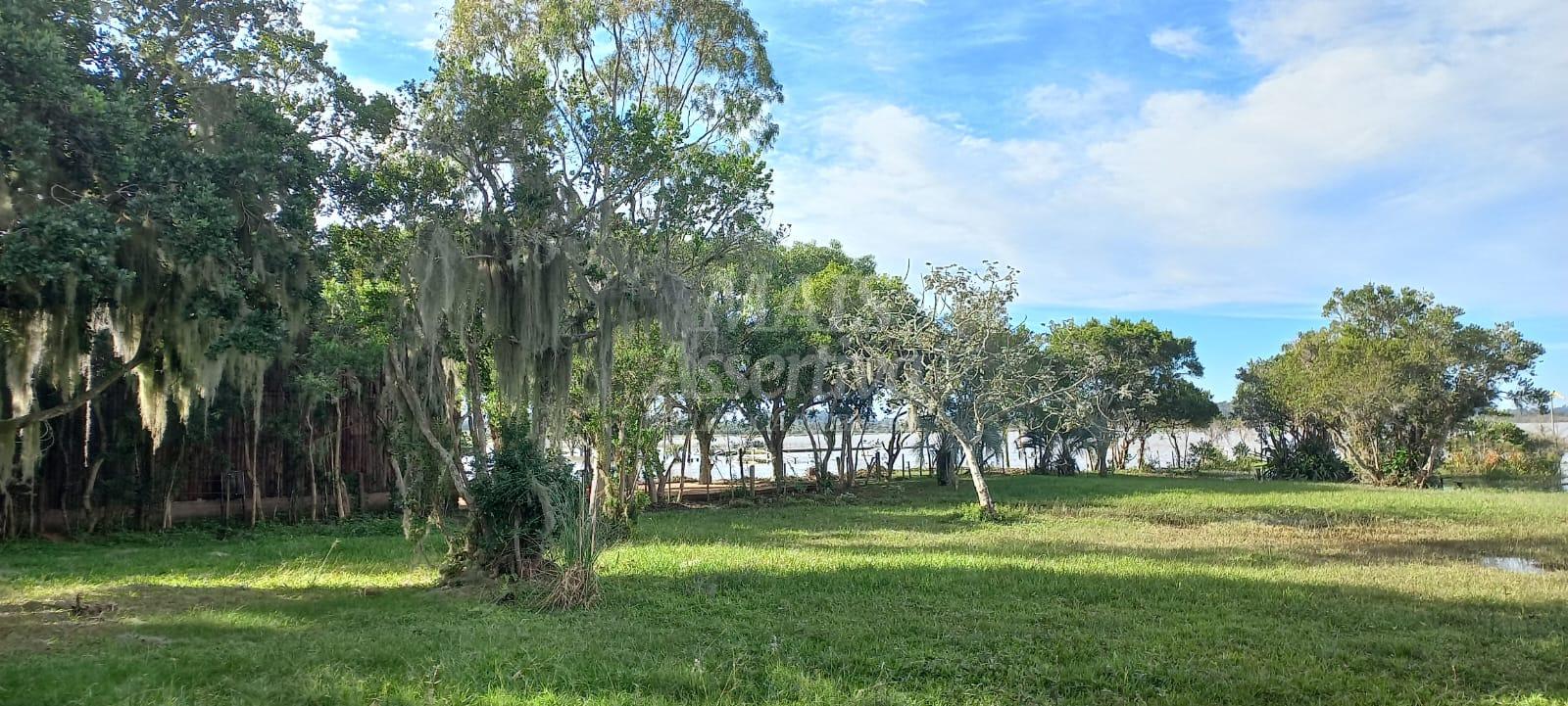 Chácara à venda com 3 quartos, 30000m² - Foto 5