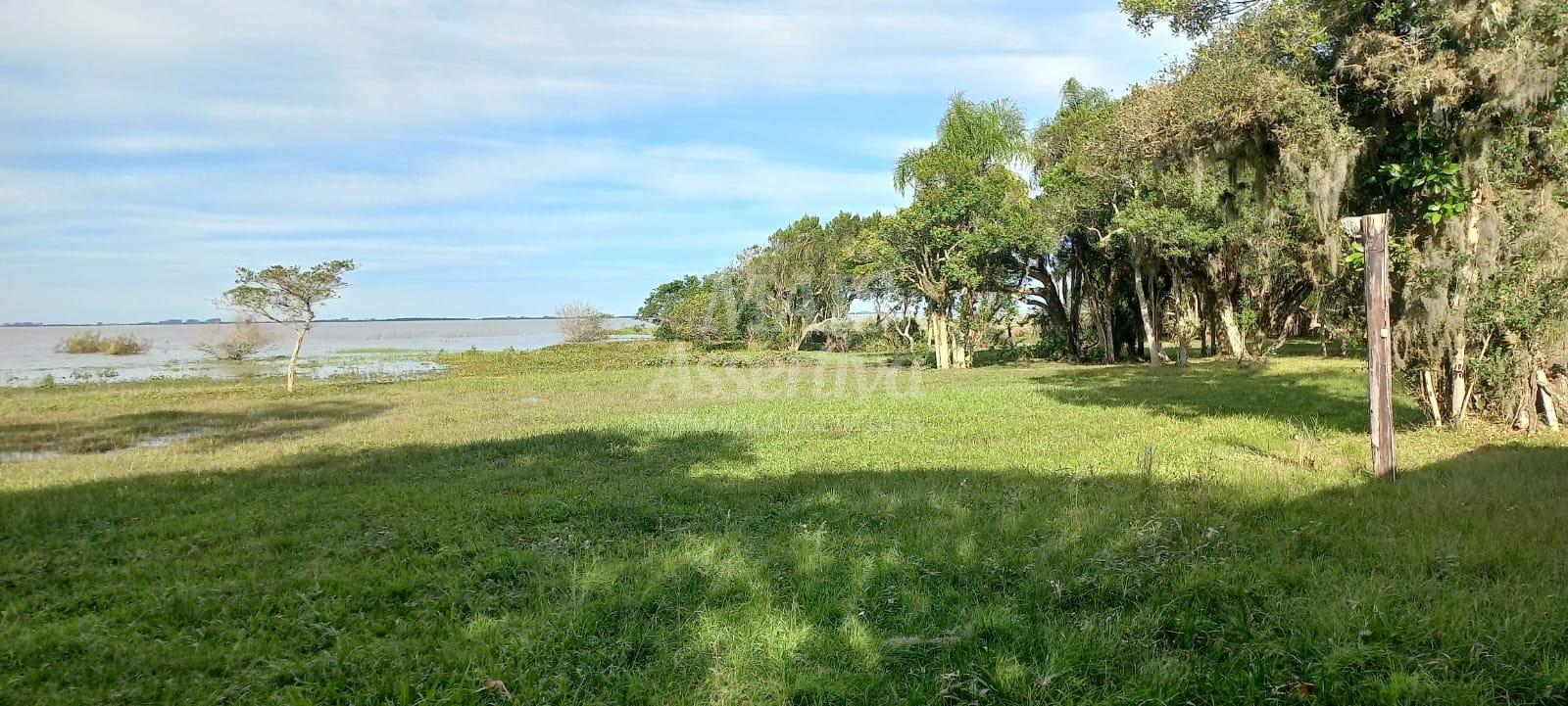 Chácara à venda com 3 quartos, 30000m² - Foto 7