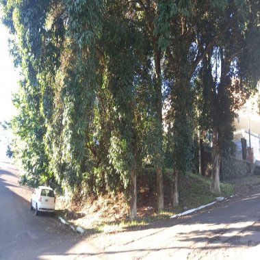 Terreno para venda no Bairro Primavera em Novo Hamburgo Terreno para venda no Bairro Primavera em Novo Hamburgo