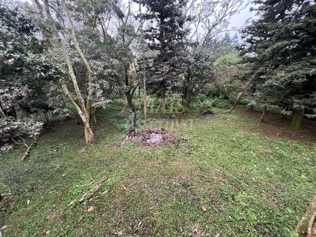 Sítio, 3 quartos - Foto 13