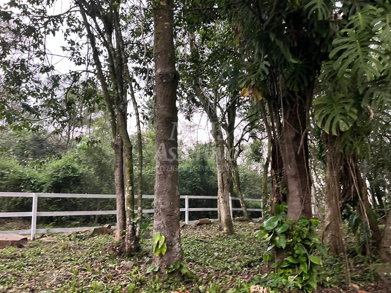 Sítio, 3 quartos - Foto 5