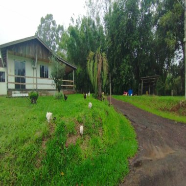 Sítio / Chácara 3 quartos para Venda em São Sebastião do Caí Sítio / Chácara 3 quartos para Venda em São Sebastião do Caí