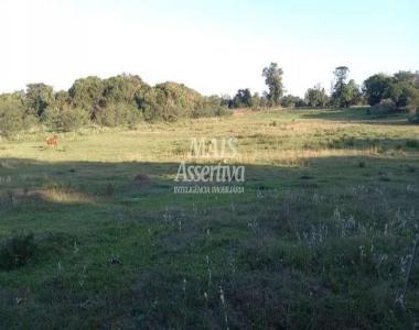 Sítio para Venda em Nova Santa Rita / RS no bairro Itapuí Sítio para Venda em Nova Santa Rita / RS no bairro Itapuí