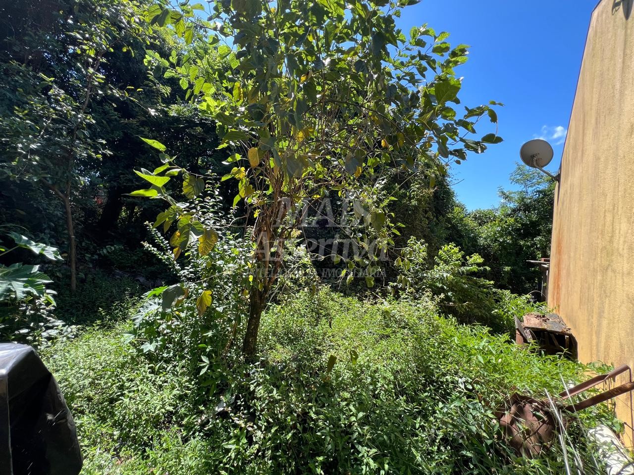 Terreno à venda, 250m² - Foto 11