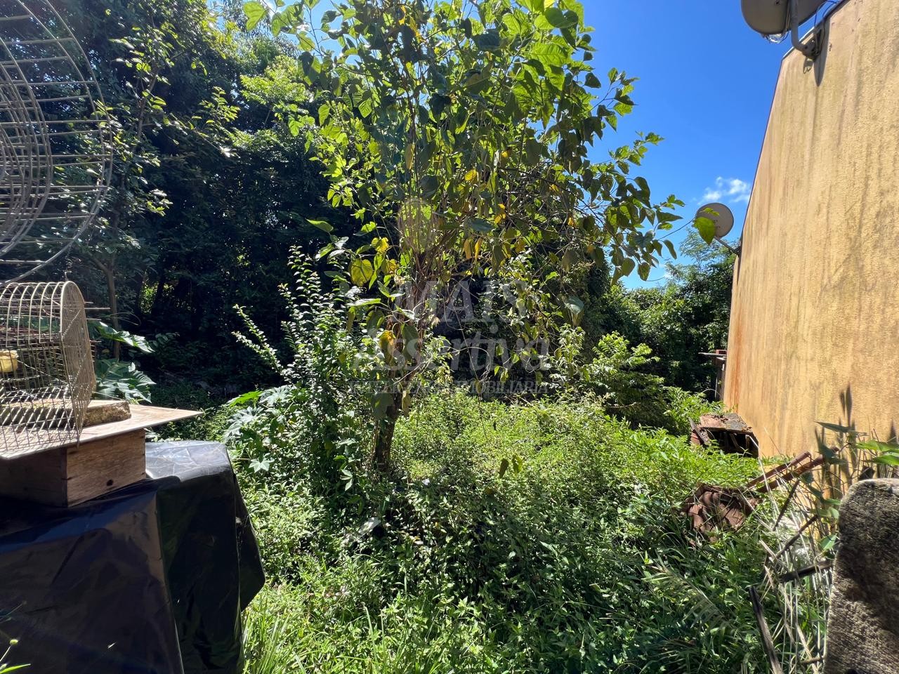 Terreno à venda, 250m² - Foto 12