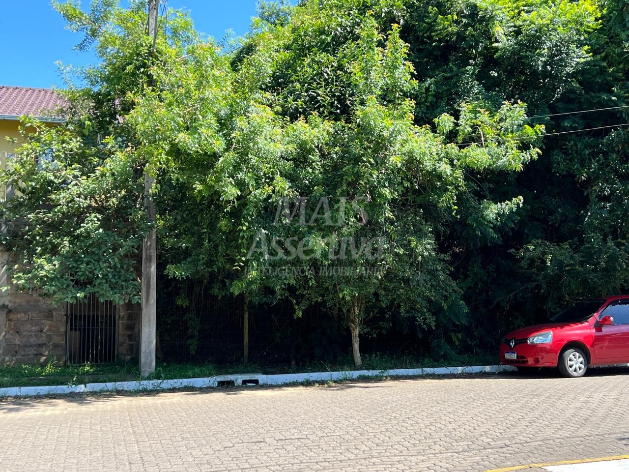 Terreno à venda, 250m² - Foto 3