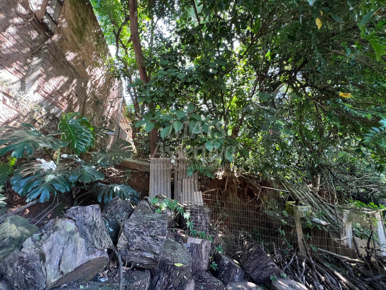 Terreno à venda, 250m² - Foto 6
