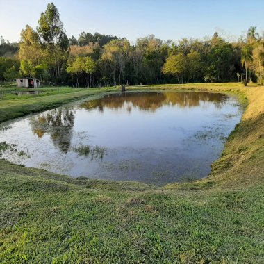 Sítio para venda em Portão Sítio para venda em Portão